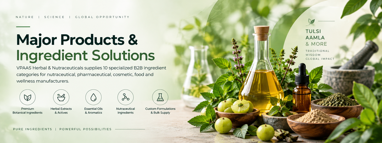 Major Products & Ingredient Solutions - VPAAS Herbal & Nutraceuticals